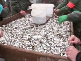 LES REPORTERS DE L'EAU 90 : La pêche miraculeuse !