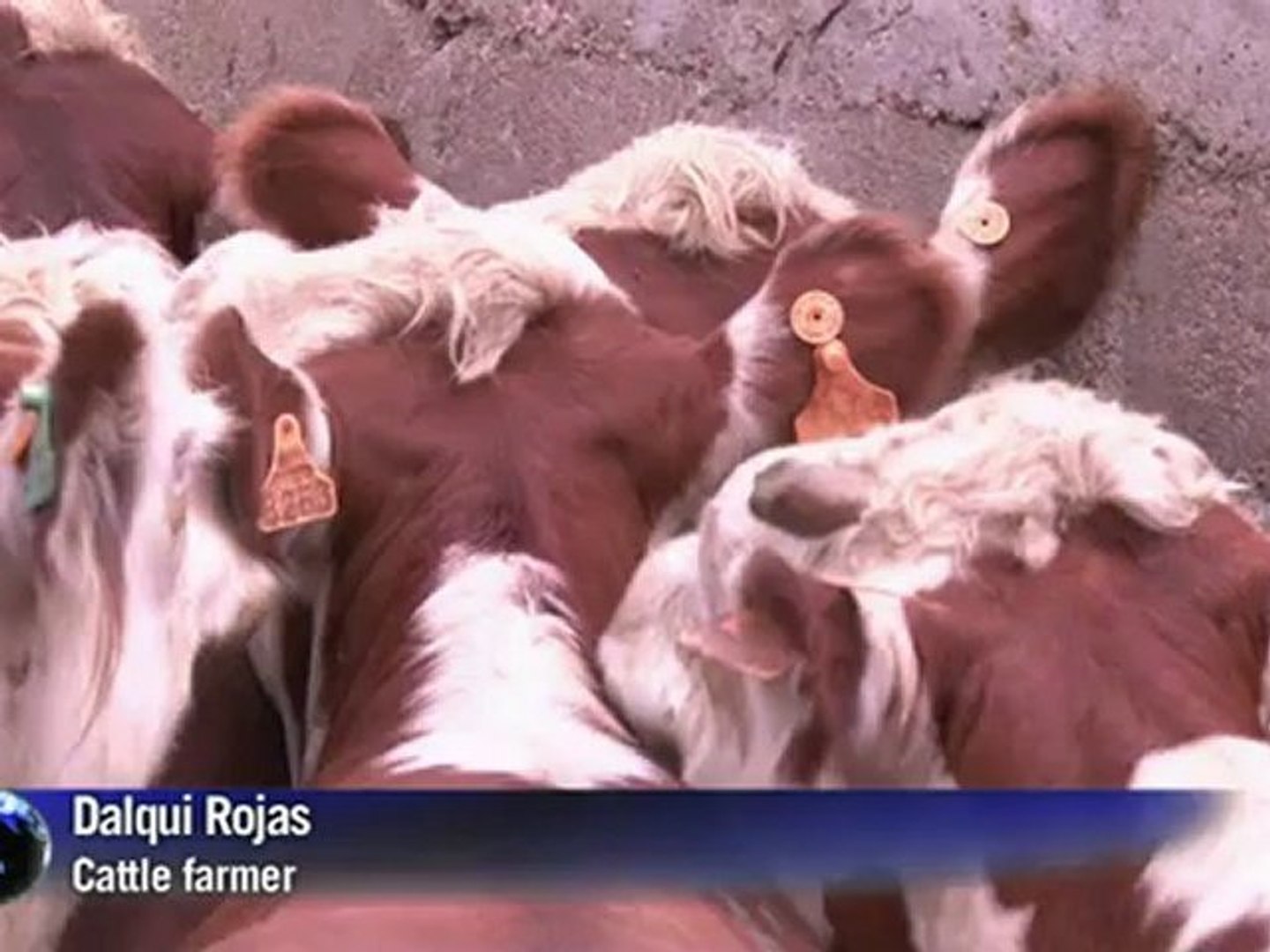 Uruguayans track meat from the field to the plate
