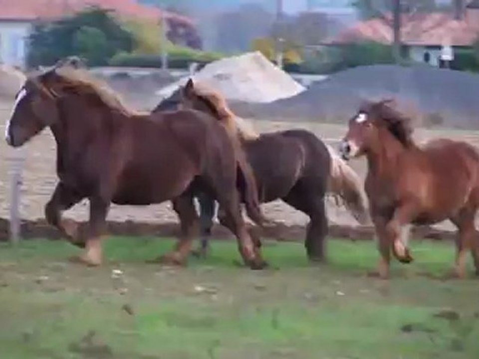 au pré 1
