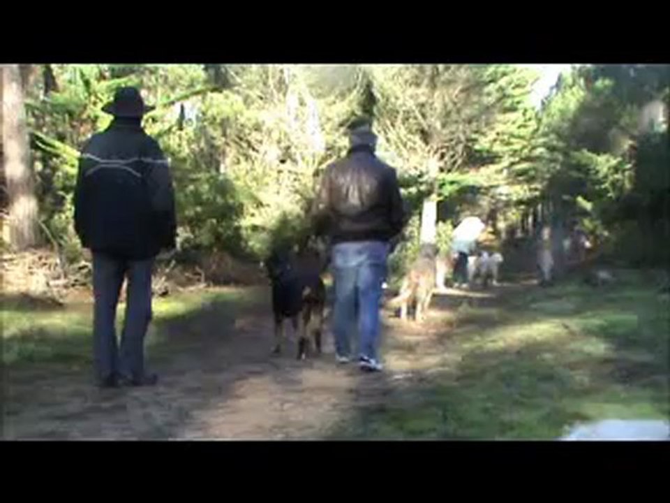 Balade Ton Chien à St Jean de Monts - 13 novembre 2012