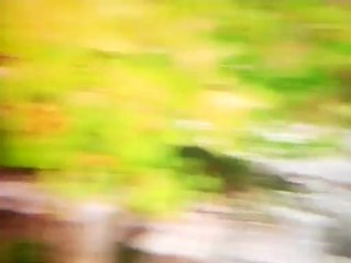 Tammar - The Last Line