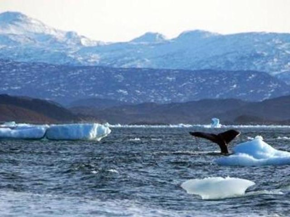 Fault Lines - The Battle for the Arctic