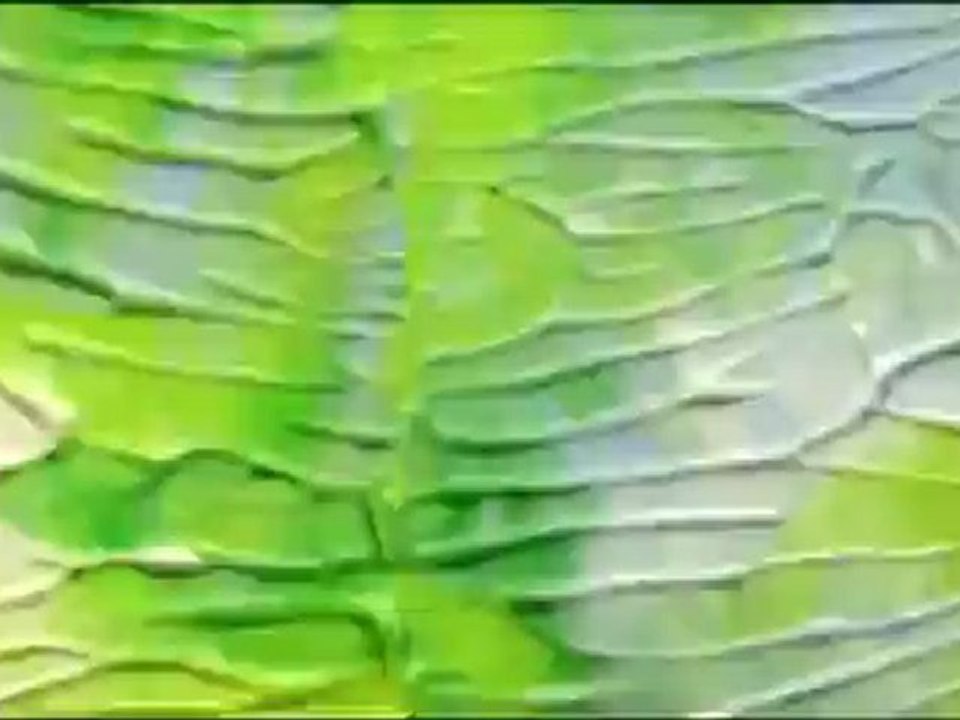 Clap Your Hands Say Yeah - Hysterical