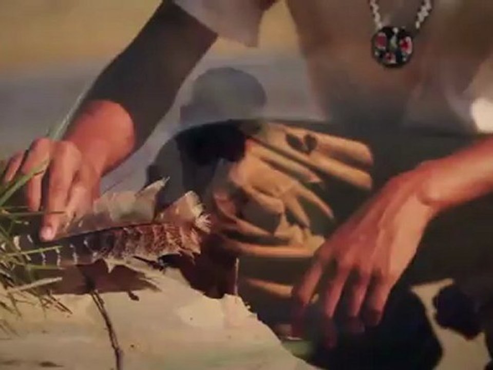 Freedom Hawk - Indian Summer
