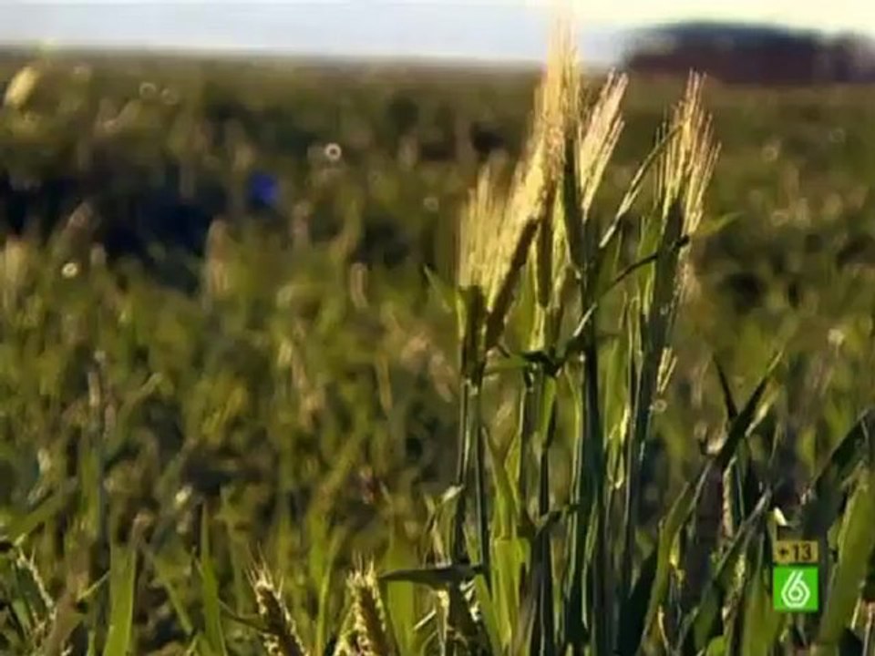 Crímenes imperfectos ricos y famosos - Capítulo 47 (1_3) (1)