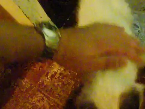 Les bébés le 14 novembre ont 2 mois et demi.