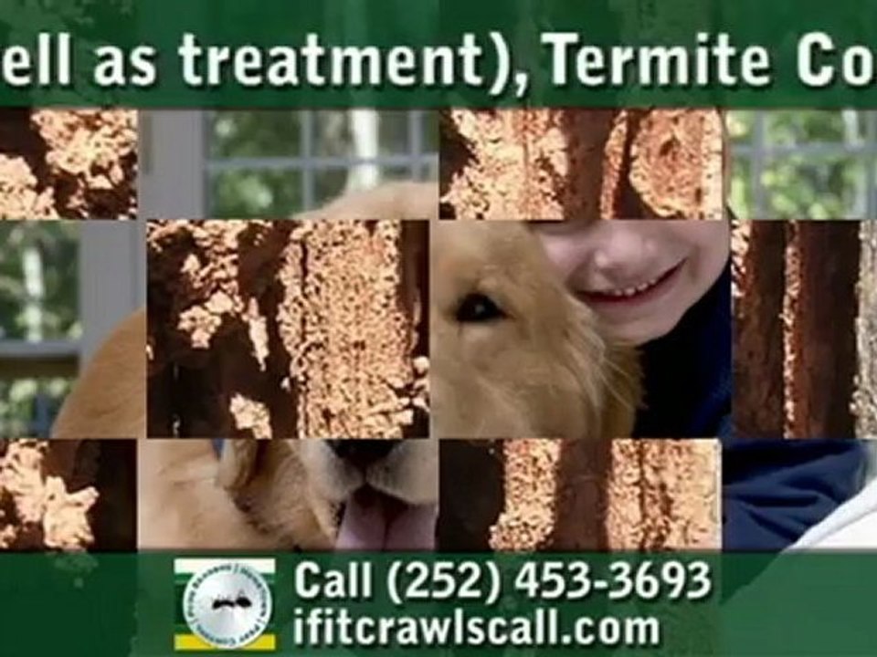 Pest Control Kill Devil Hills, NC - Call (252) 453-3693