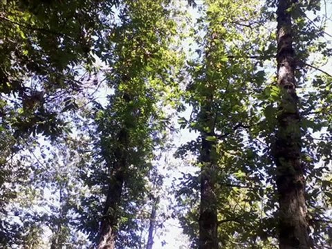 San Vito Romano - Presentazione del paese per immagini