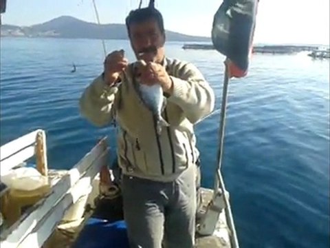 ismail kaptan balık avı 14.11.2012 tarihli video tel. 05334559097