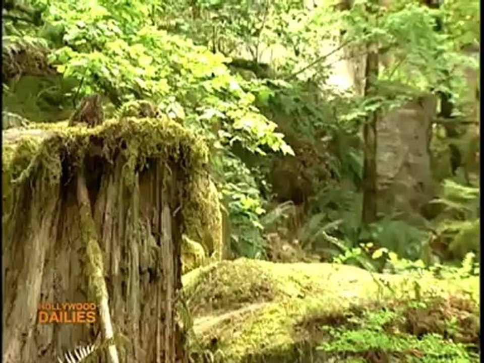 The real twi-hard tour