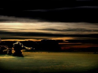 N'to - Cats & Dogs (Traumer Pacific Winds Remix)