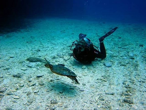 Samsung UN32EH5000 32-Inch 1080p 60Hz LED HDTV (Black) Black Friday Deals