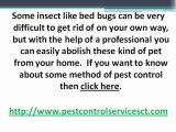 Pest Control CT Professionals : Protect your property from pests
