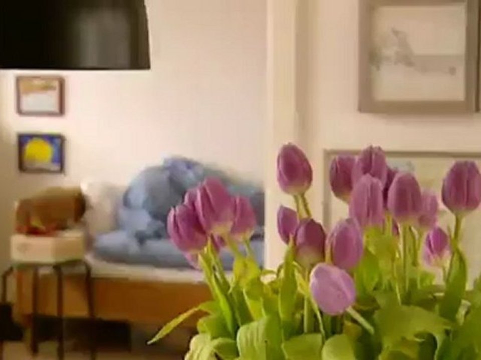 Dachgarten mitten in Kopenhagen | Euromaxx