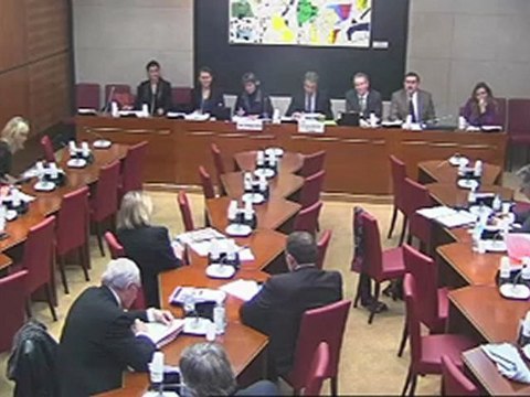 Intervention d'Hervé Féron, lors de l'audition de la Présidente d'Arte-France en commission des Affaires Culturelles et de l'Education, le 14_11_2012