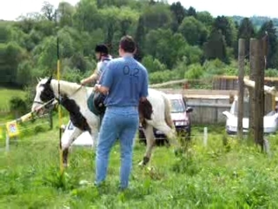 Portail + Contre-bas