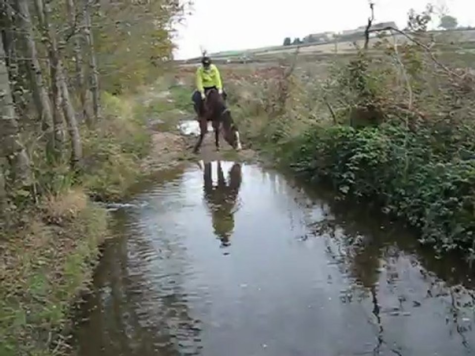 Volga eau