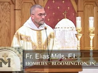 Nov 15 - Homily:  St. Albert, Doctor Universalis