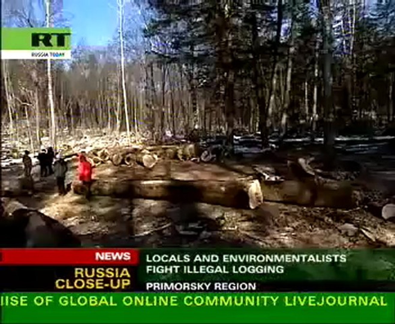 ⁣Eco disaster threatens Amur leopards