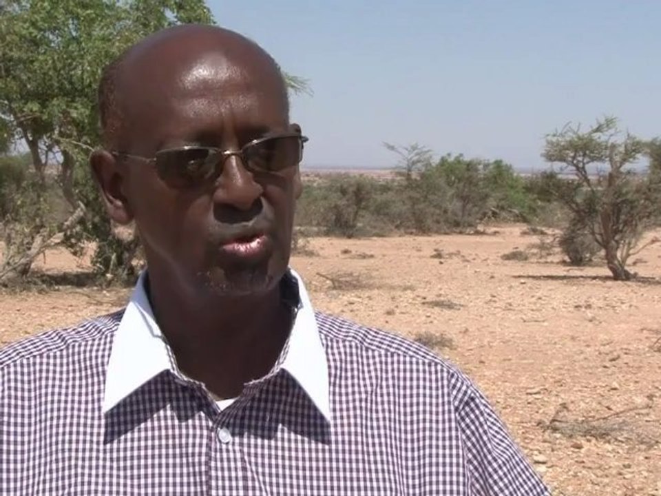 Somaliland droht durch kahlschlag zur wüste zu werden