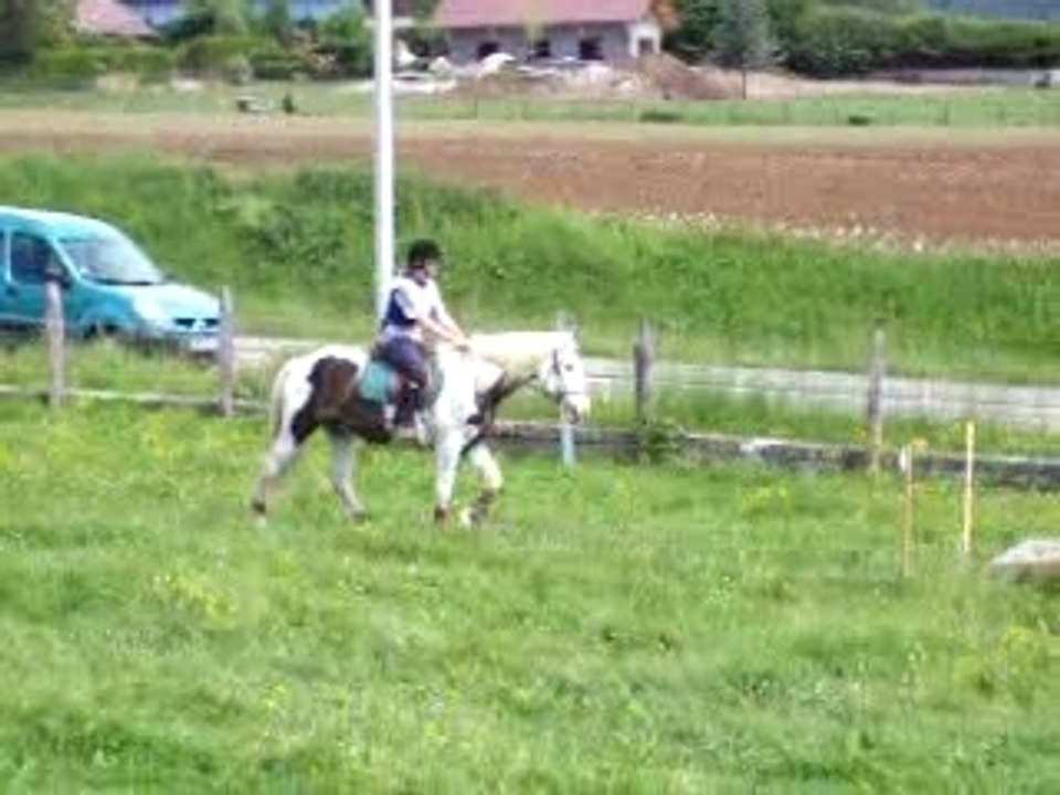 Slalom + passerelle