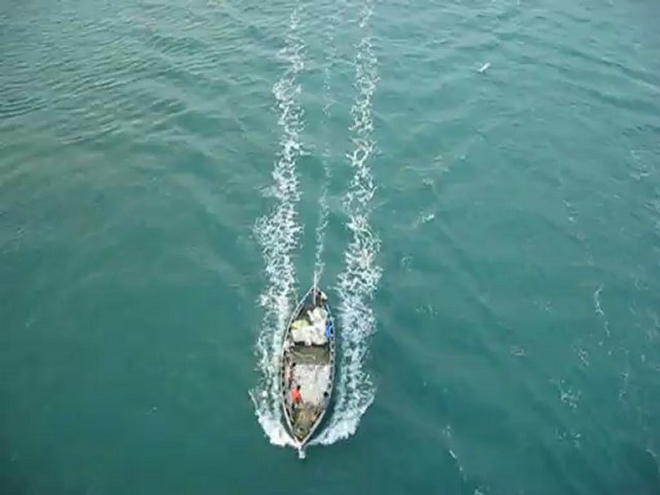 MVI_5796