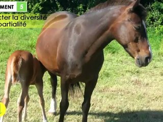 Elections Chambres d'agriculture 2013 - Coordination Rurale