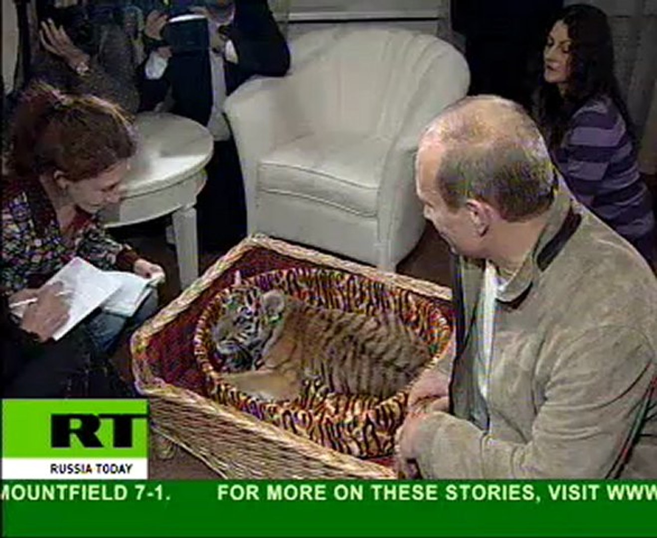 Tiger for Putin