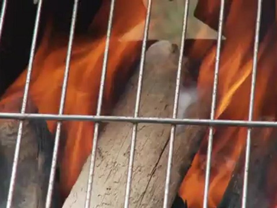 A cod fishing adventure in Bonavista, Newfoundland & Labrador, Canada