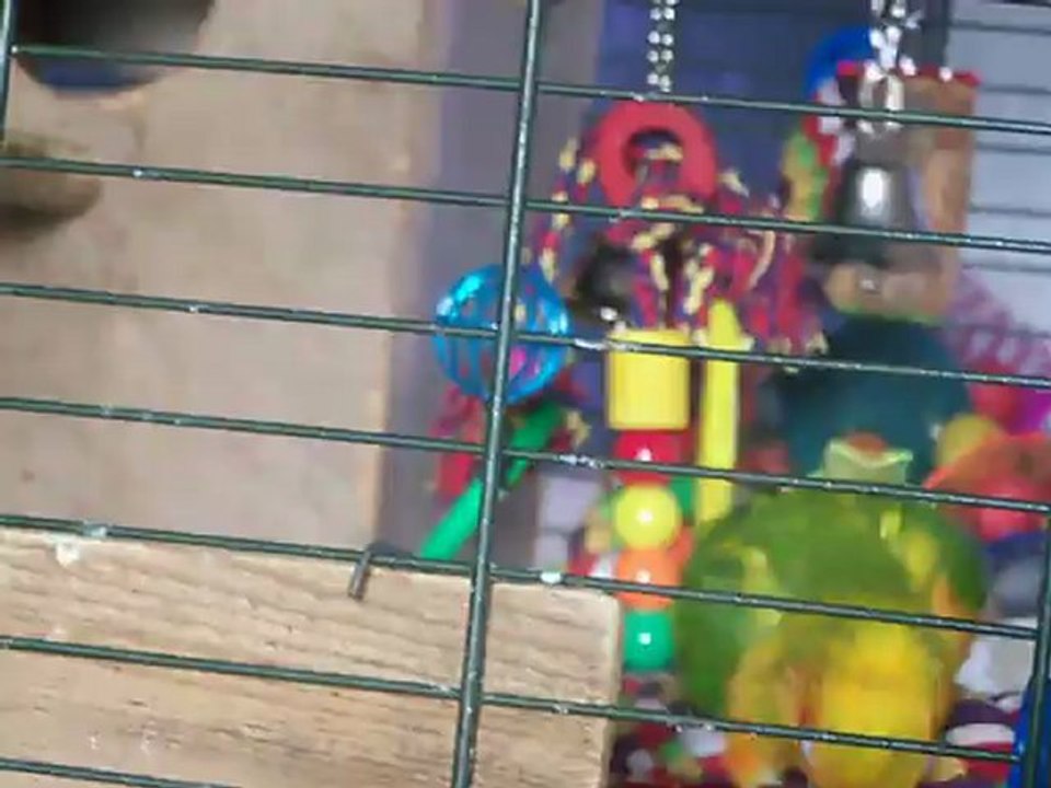 Photo 1253 tequila qui joue