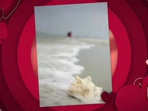 Rezension zu John Alexanders Buch Ex zurück