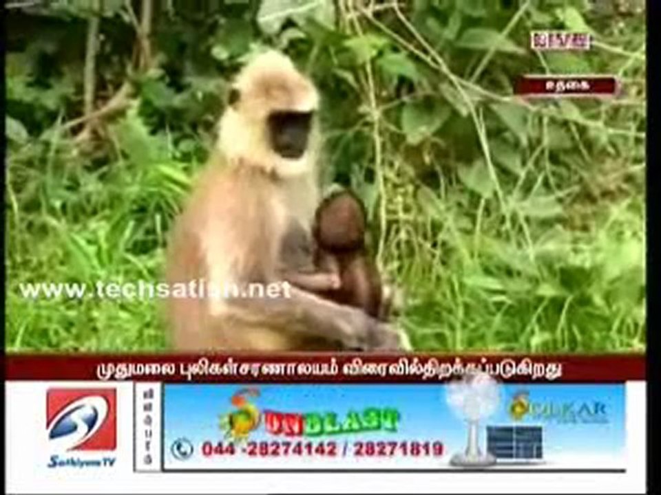 Sathiyam News