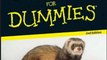 Crafts Book Review: Ferrets For Dummies by Kim Schilling, Susan A. Brown DVM