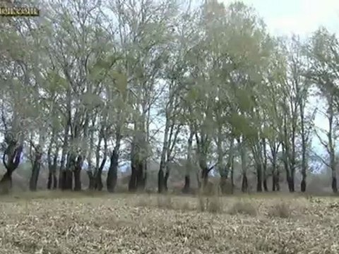 Tovoion News Channel ΝΕΑΠΟΛΗ ΒΟΪΟΥ-ΦΘΙΝΟΠΩΡΙΝΗ ΒΟΛΤΑ ΣΤΟ ΝΗΣΙ 15-11-2012