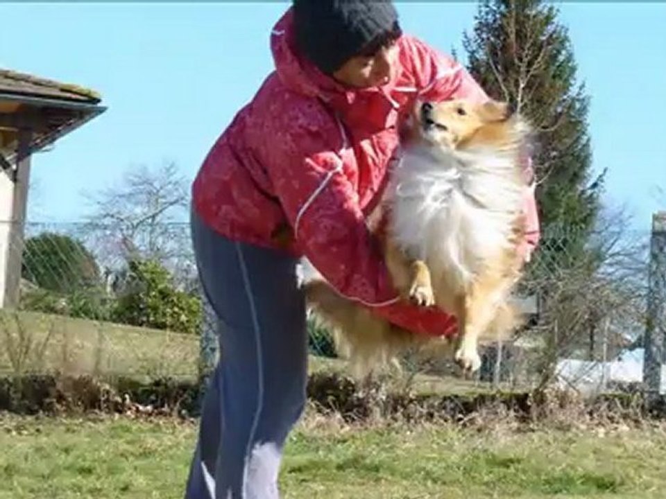 bonnie 3 ans de bonheur