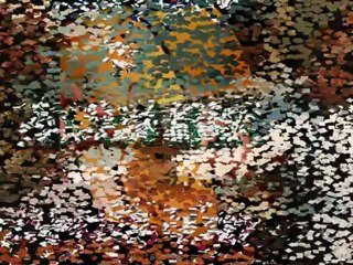 Afar Song by Med Daoud 🎶