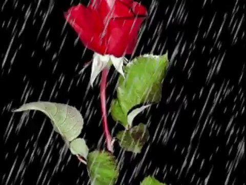 Hüseyin Tatli ..Yüregin Varsa GeL. - Seslizurna.com , Sesliseslim.net