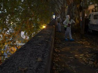 Starlings migrate over Rome
