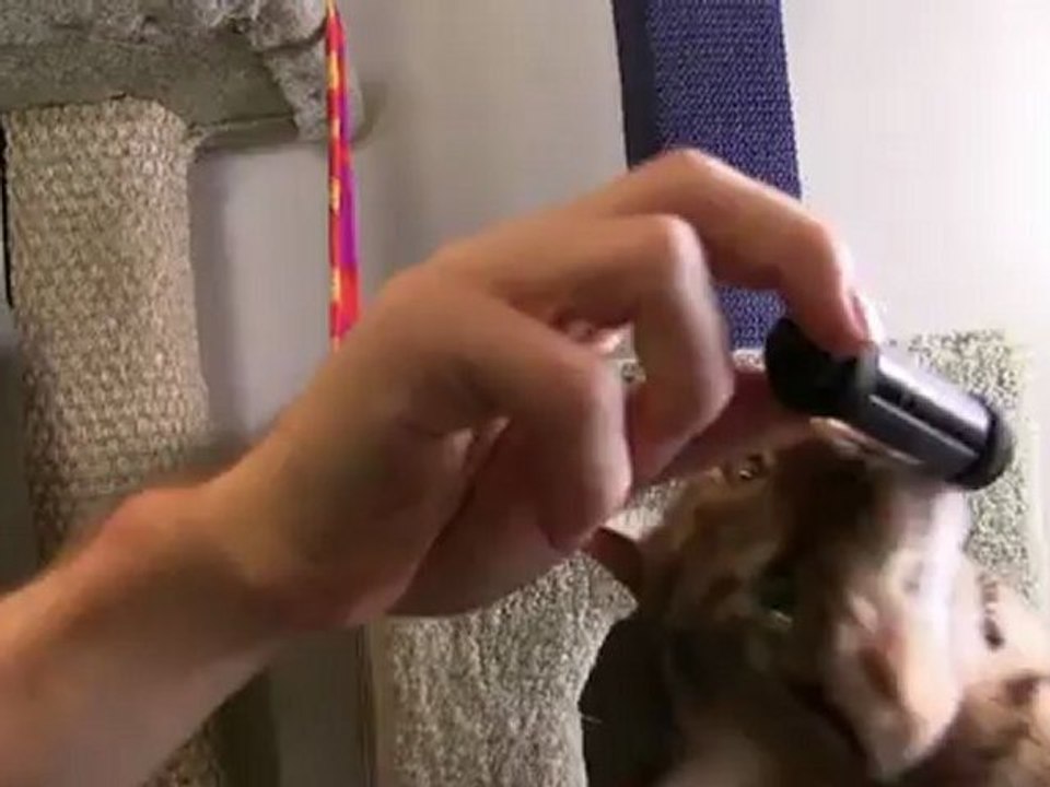 Corsair Survivor Stealth Rugged Waterproof USB3 Flash Drive Unboxing & First Look Linus Tech Tips