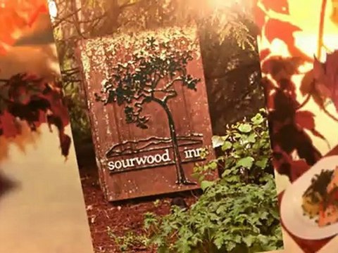 Asheville Bed and Breakfast Call 828-255-0690