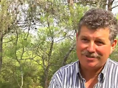 El medi ambient - El medi ambient: Bages, obtenir biomassa, reduir risc d'incendis