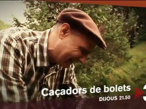 TV3 - Dijous, a les 21.50 a TV3 - Caçadors de bolets