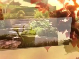 A-L-S American Landscape Services (360) 923-2224