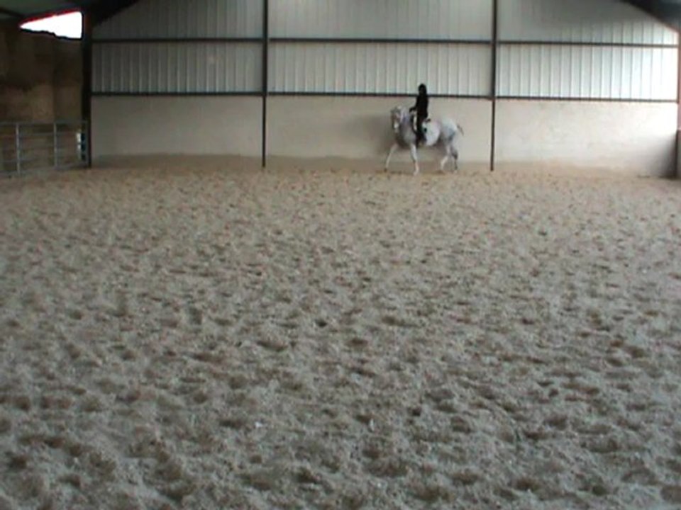 M2U04854 trot
