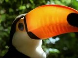 ペンギンプロジェクト動画