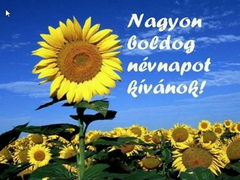 BOLDOG NÉVNAPOT !!!