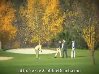 Unique Owen Sound Restaurants