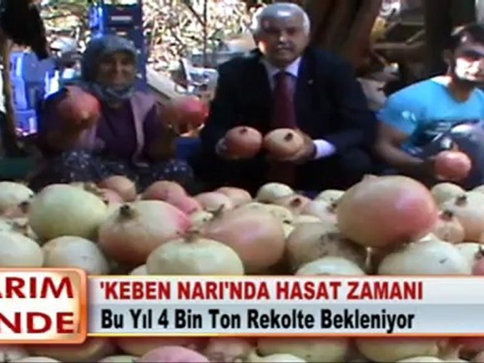 ‘KEBEN NARI’NDA HASAT ZAMANI