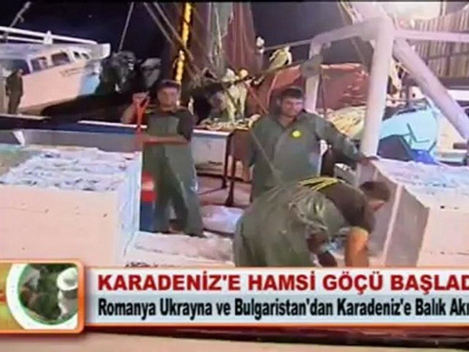 KARADENİZ'E HAMSİ GÖÇÜ BAŞLADI