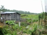 Colombianos se asilan en Ecuador